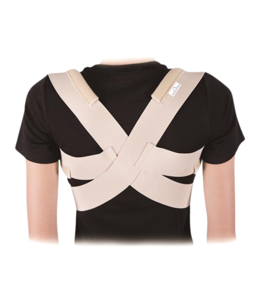 Vulkan Posture Brace