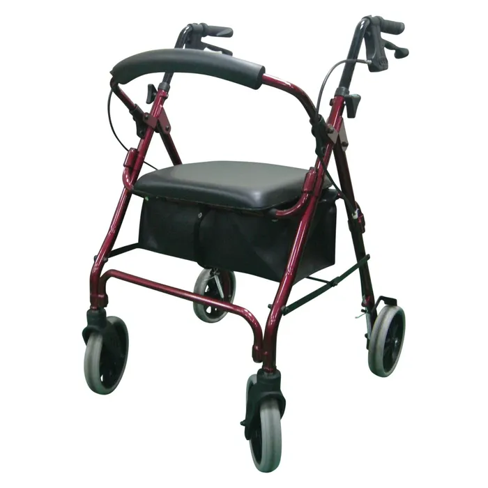 Days V4206 Walkers, 2/ctn