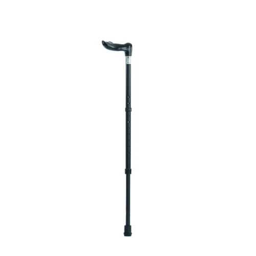 Walking Stick Fischer
