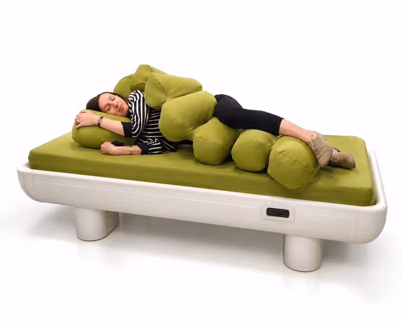 Anti-Ligature Care Bed