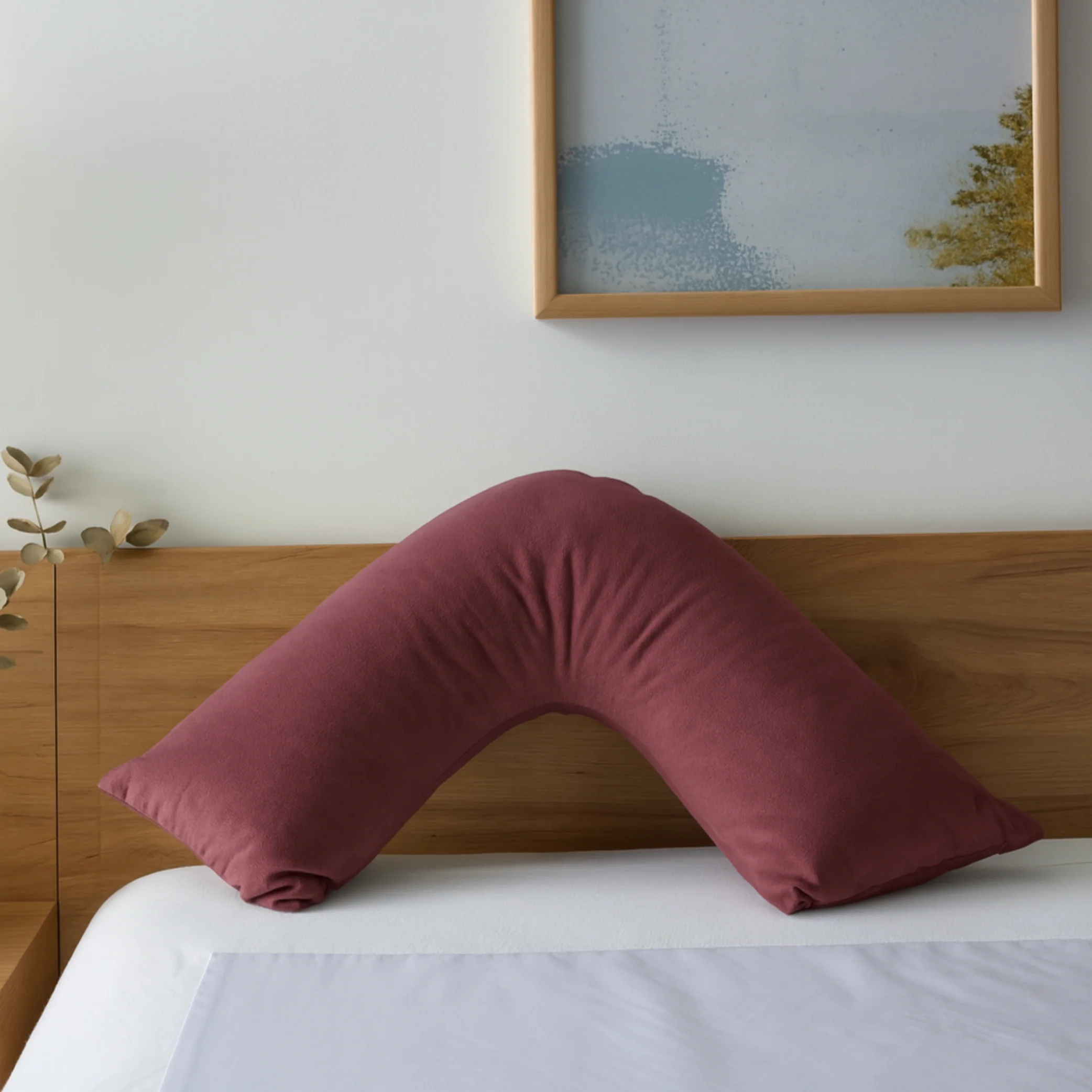 Boomerang Pillow Case